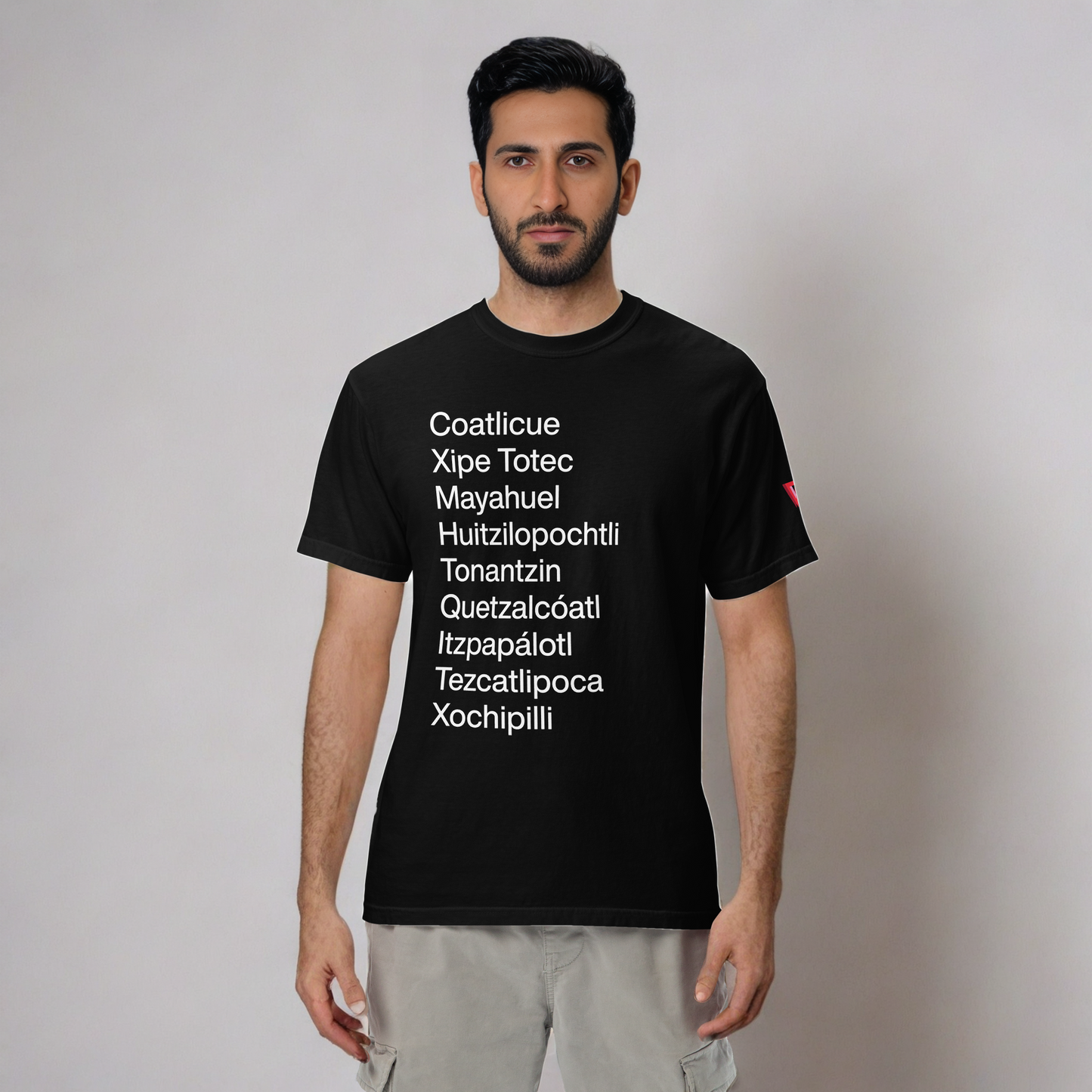 Return of the Aztec Gods Heavyweight Cotton T-Shirt
