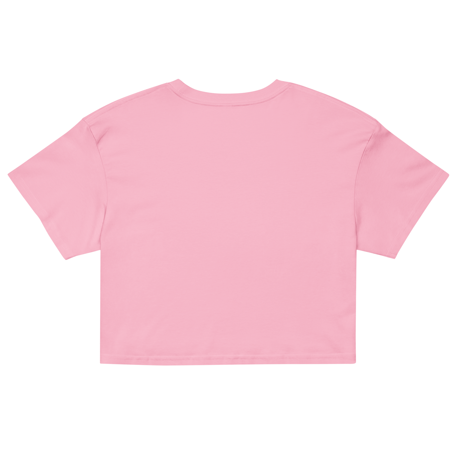 Queer Punks Barbell Club Crop Top