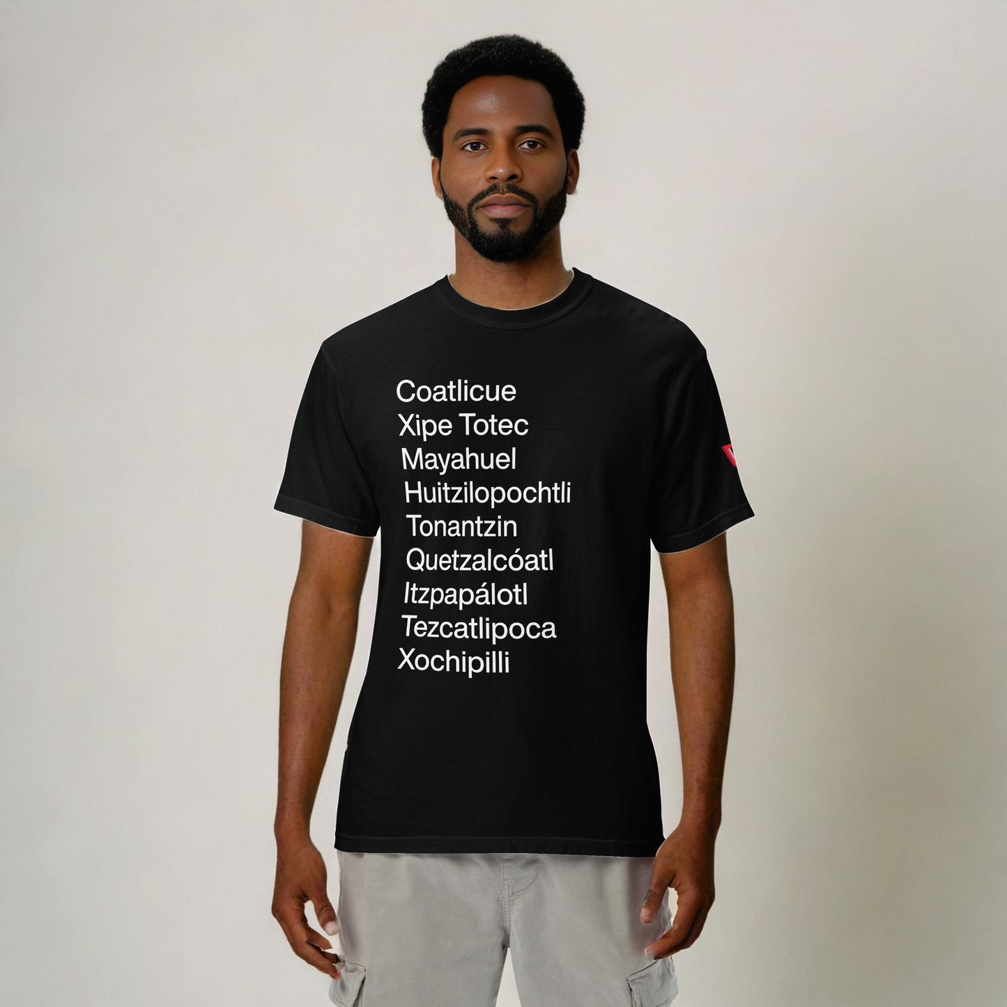 Return of the Aztec Gods Heavyweight Cotton T-Shirt