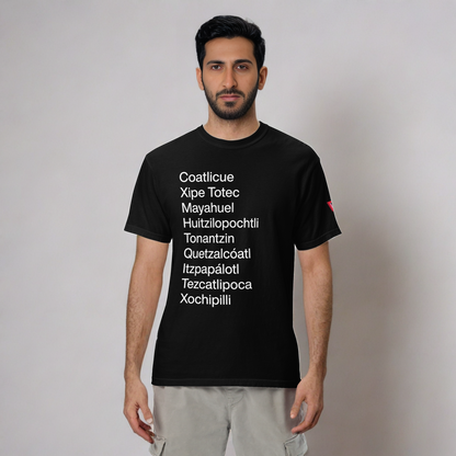 Return of the Aztec Gods Heavyweight Cotton T-Shirt